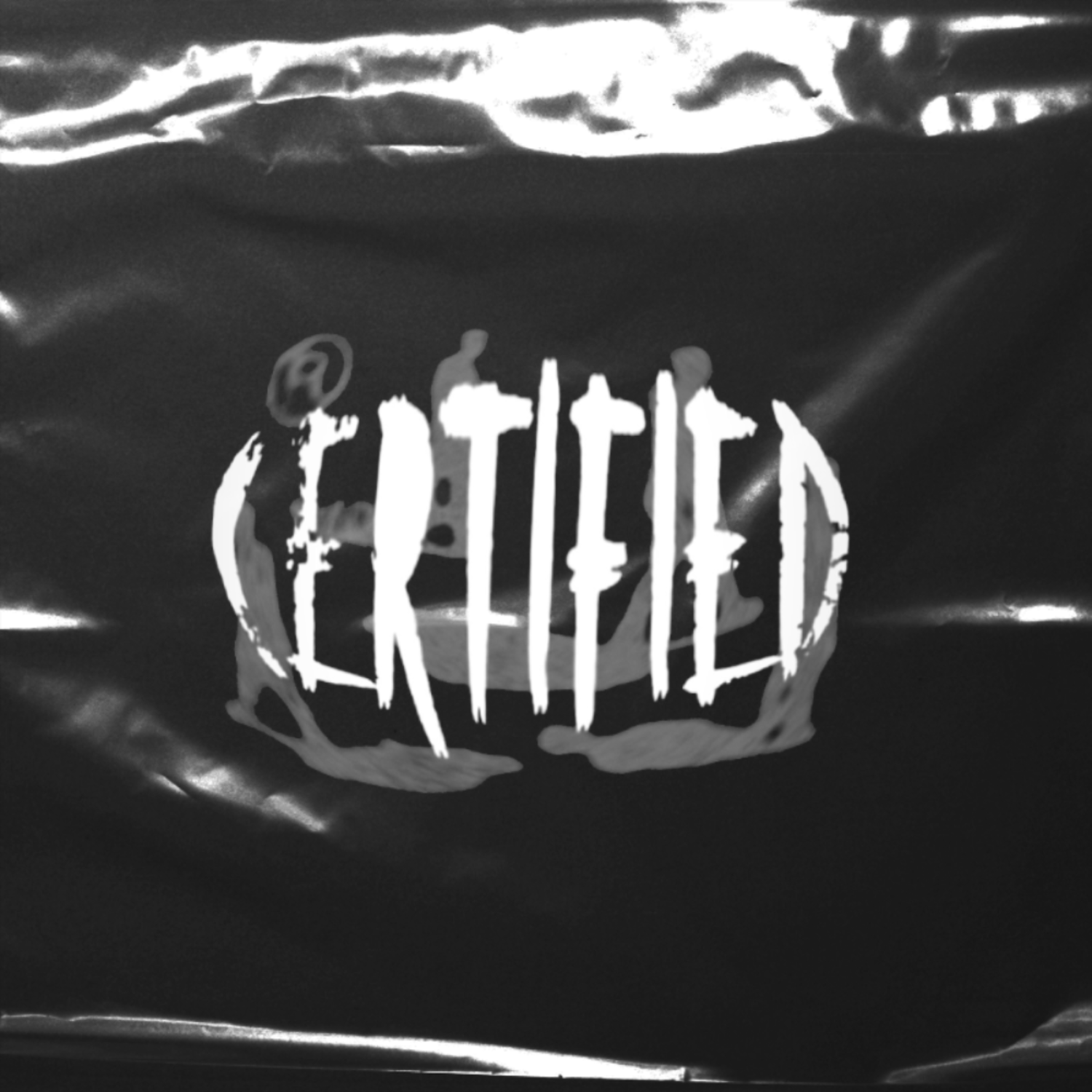 Certifiedrisktakers